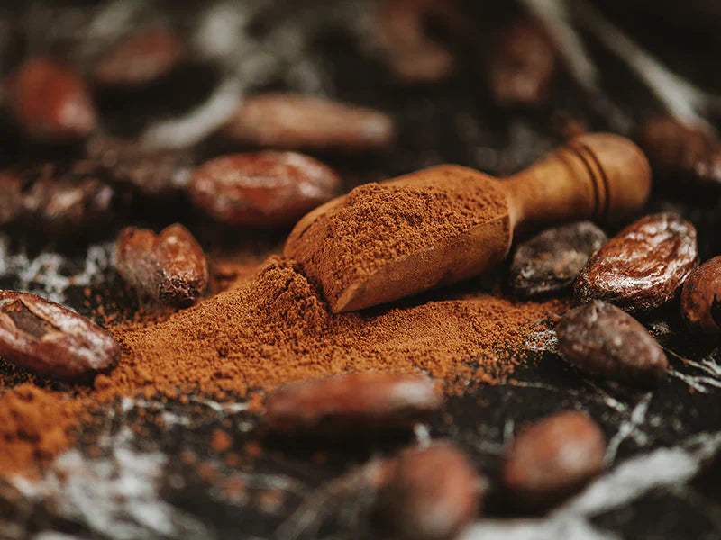 Kakaopulver Herstellung