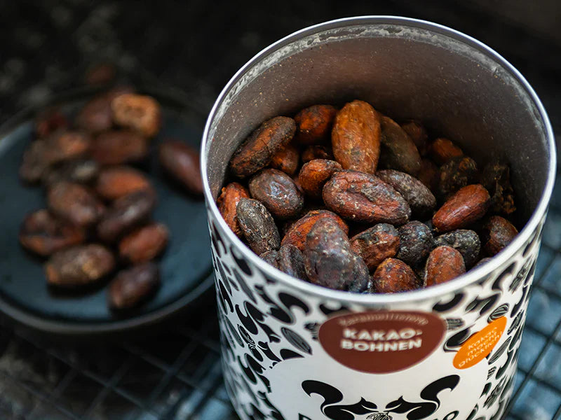 Kakao und Ballaststoffe: So stärken sie Deine Darmgesundheit