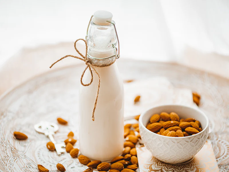 Milchalternativen im Überblick: Was können pflanzliche Drinks im Vergleich zu herkömmlicher Milch?