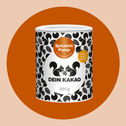 Spicekin Pump Bio Schokoladenpulver mit Bio Kürbispulver aus der Steiermark 250 g