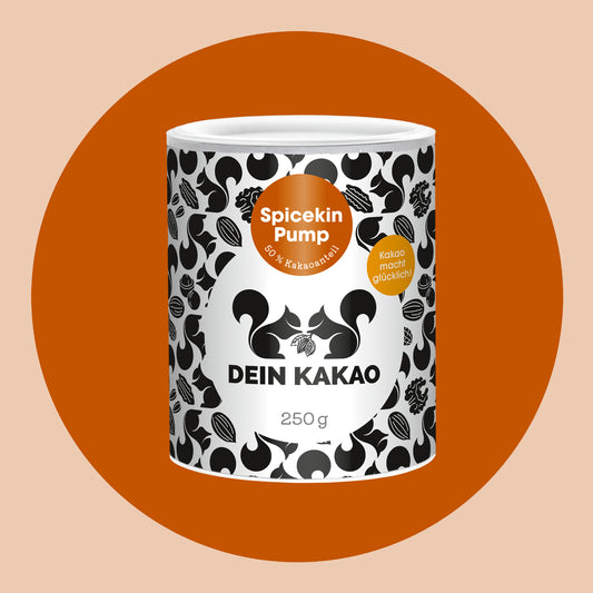 Spicekin Pump Bio Schokoladenpulver mit Bio Kürbispulver aus der Steiermark 250 g