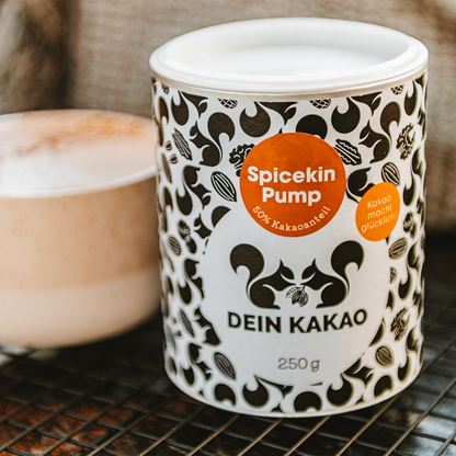 Spicekin Pump Bio Schokoladenpulver mit Bio Kürbispulver aus der Steiermark 250 g